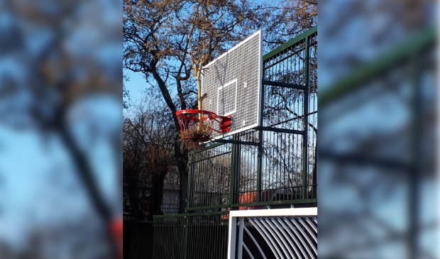 <p>Grove takken zijn in de basket gehangen. Het net moet zeer waarschijnlijk vervangen worden.</p>