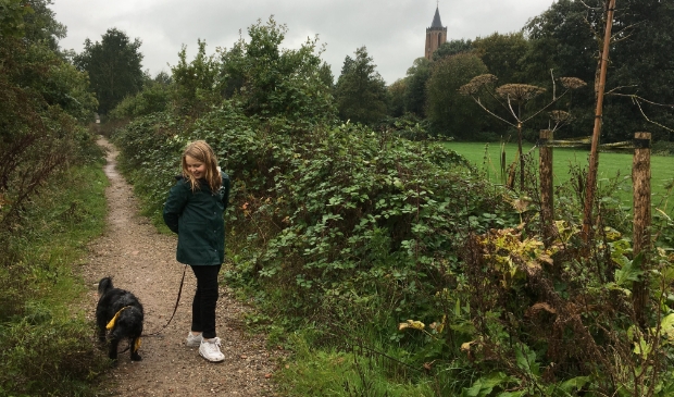<p>In coronatijd trekken we massaal de natuur in met onze trouwe viervoeter.</p>