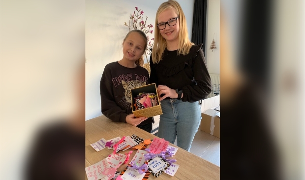 <p>Pip van den Boogaard (10 jaar) en Kaylee van den Poel (11 jaar) uit Assendelft deden wat de regering aan ons vraagt: omzien naar elkaar. </p>