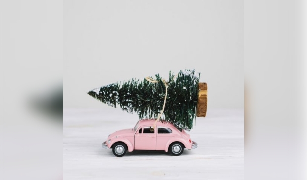 <p>Kerstbomen ophalen in Waterland gebeurt op 7 januari.</p>