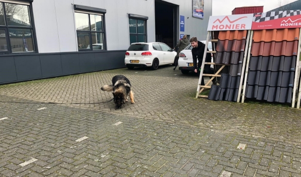 <p>Kenzo traint hier met de buurjongen op een industriegebied in Alkmaar.</p>
