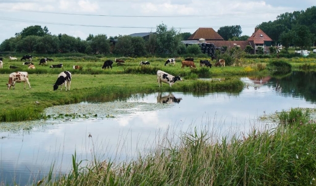 <p>Hoe kleiner de boerderij, hoe groter de kans dat er geen opvolger is.</p>