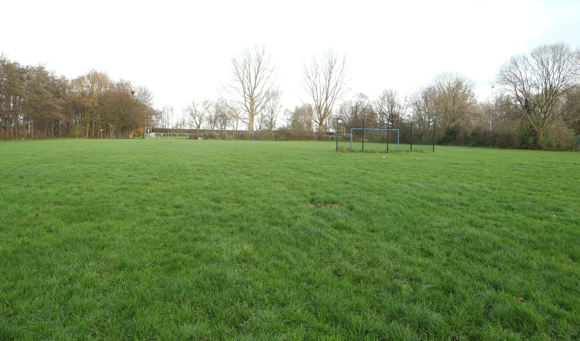 Het grote openbare veld dat onder andere gebruikt om te voetballen.