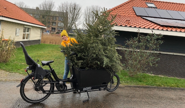 <p>Opgehaalde kerstbomen doen ook weer een duit in het zakje.</p>