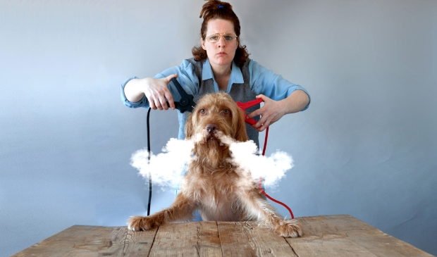 <p>‘De hond die licht gaf’ is een muzikale griezelvoorstelling die laat zien dat de dood bij het leven hoort en niet eng is. </p>