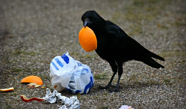 <p>Iedereen doet een duit in het zakje om zwerfafval te verzamelen.</p>