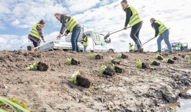 <p>Schoffelen langs de rand van de weg om ruimte te maken voor struiken tijdens de Plant-estafette.</p>
