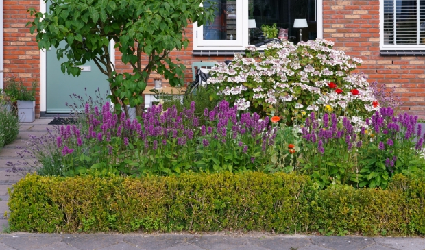 <p>Hortus Alkmaar houdt Inspirerende tuinavonden </p>