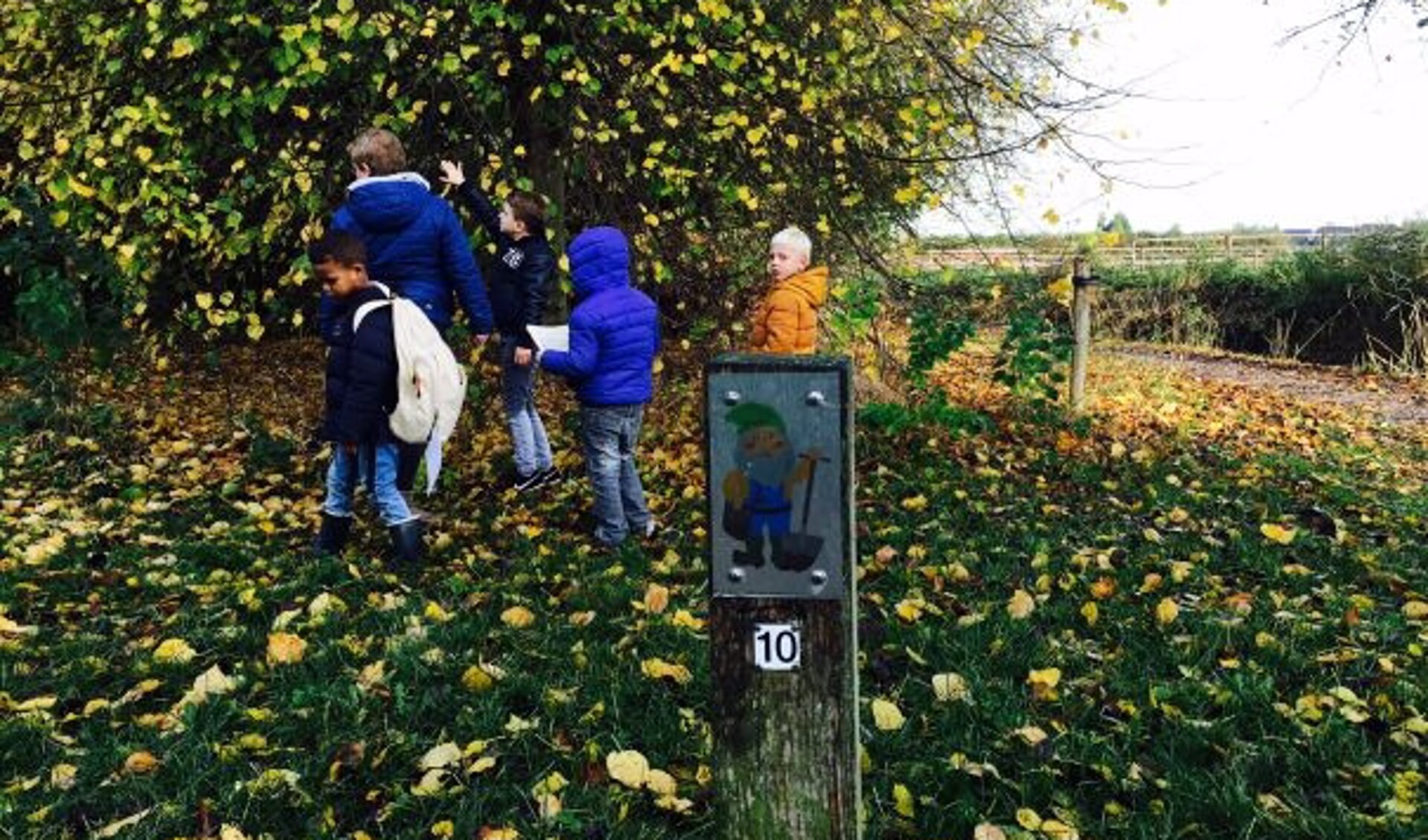 Maak in het Boezelbos bij MAK Blokweer een struintocht en geniet van de herfstkleuren.