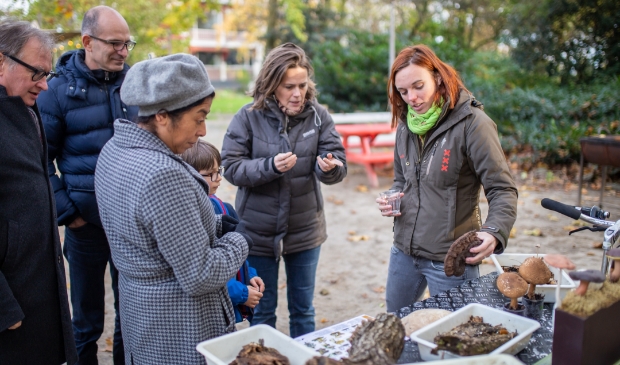<p>Tolhuistuin organiseert deze week het We Are Warming Up festival met zaterdag de opening van Tuin de Noord.</p>