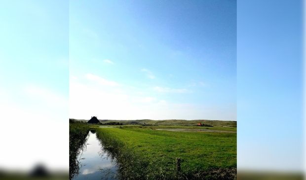 <p>Wie wil vereniging Zijper Landschap komen versterken?</p>