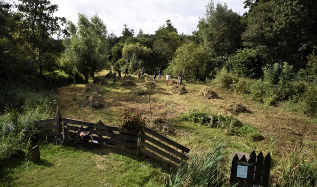 <p>Klussen in het ecoproject. </p>