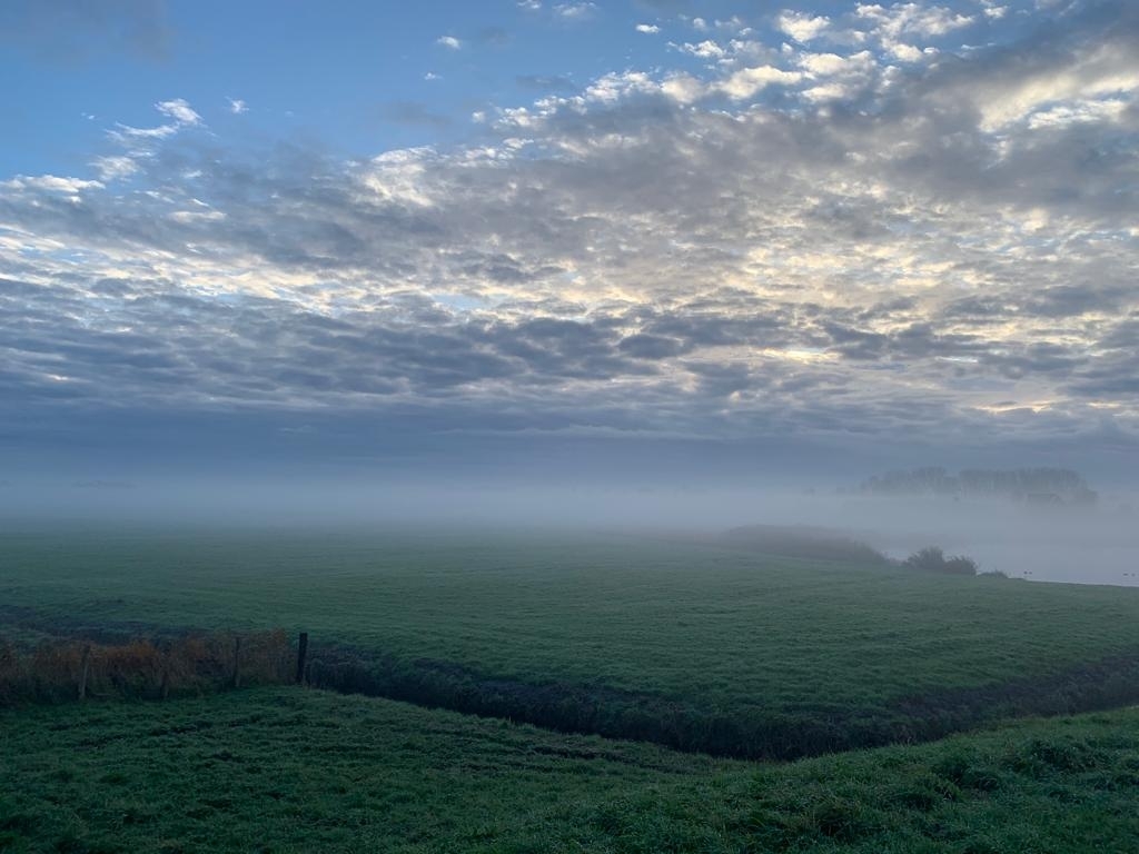 Het Wormer- en Jisperveld in de mist.