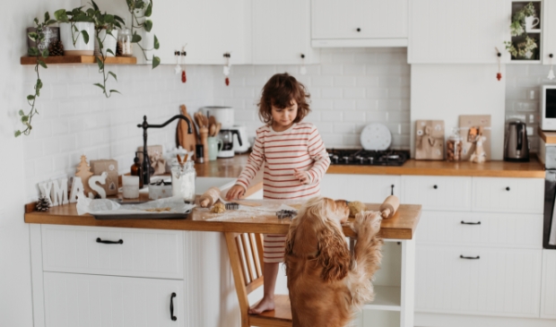 <p>Met kleine kids is het oppassen geblazen!</p>