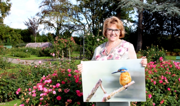 <p>Linda Moseman houdt enorm van natuurfotografie. Zo fotografeerde ze deze ijsvogel. "Deze foto klopt voor mij."</p>