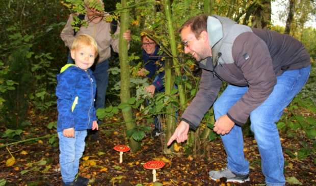 <p>Heuse kabouterpaddenstoelen voor kleine Jens Lodder (2) met rechts papa Niels en achterin gids Hans van Dam en mama Daniëlle. Zaterdag was er een paddenstoelenexcursie in het Boskoopse Gouwebos.</p>