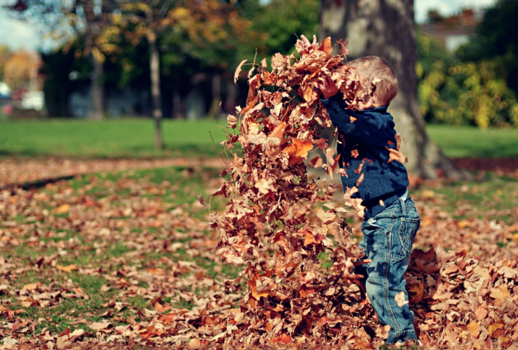 <p>Herfstvakantie bij De Helderse Vallei.</p>
