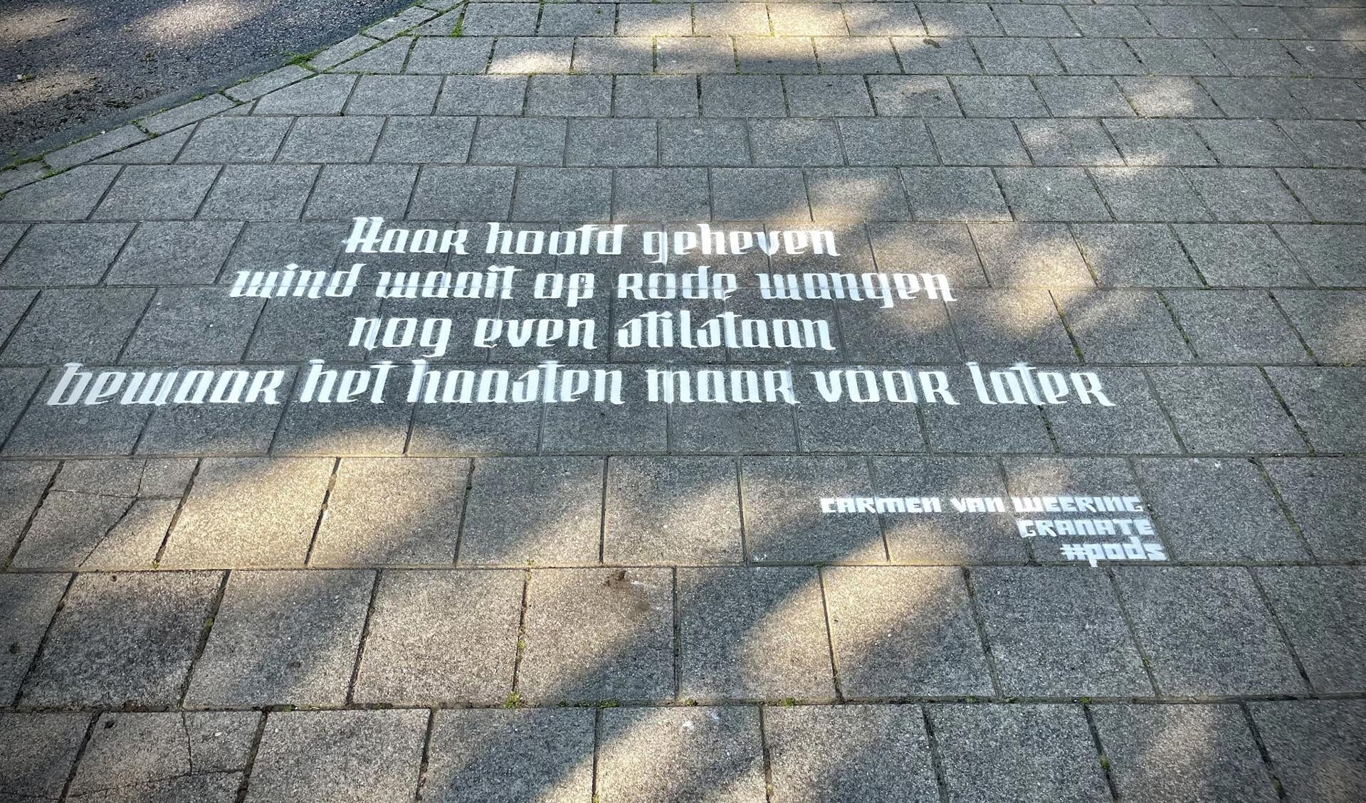 Een van de gedichten in Amsterdam/Noord.