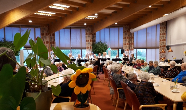 <p>Zonnebloem blij dat coronaregels zijn versoepeld.</p>