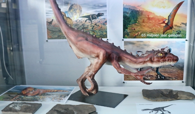 <p>Orion heeft kasten vernieuwd: veel informatie over verdwijnen van dinosaurussen tgv inslag en schaalmodellen van huidige ruimtewagens.</p>