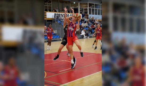 <p>Lions vocht voor wat het waard was.</p>