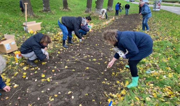 <p>De leden van de rotaryclub bezig met het planten van de bollen.</p>