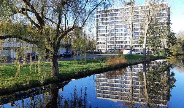 Hier aan de Van de Veldenlaan worden op Green Friday wilde ligusters, egelantiers, kamperfoelies, sleedoorns en vlieren aangeplant.