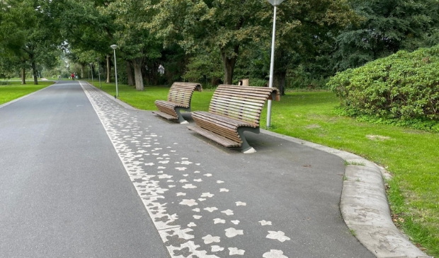 Het Noorderpark.
