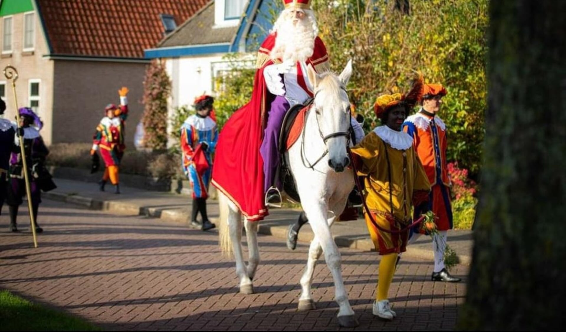 Sint reed op Ozosnel van Nikki uit Hippo.