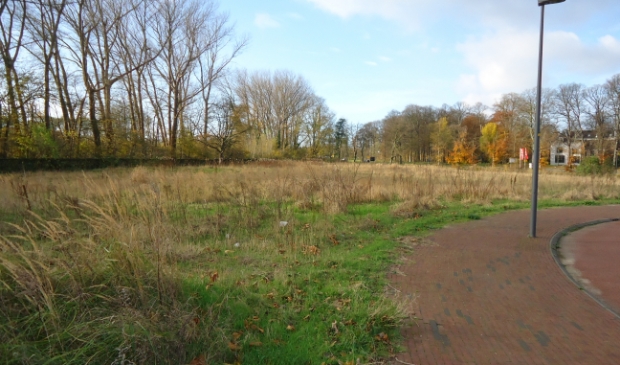 <p>Het nu nog kale terrein van Ankie's Hoeve.</p>
