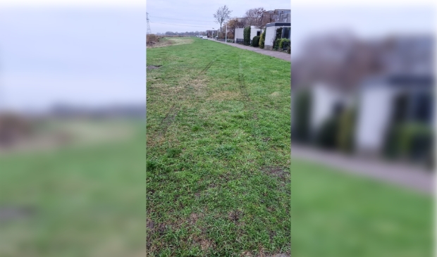 <p>Bandensporen in de groenstroken in de ochtend als bewijs van een wilde rit door de nacht. </p>