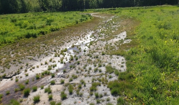 <p>Voorbeeld duinrel PWN.</p>