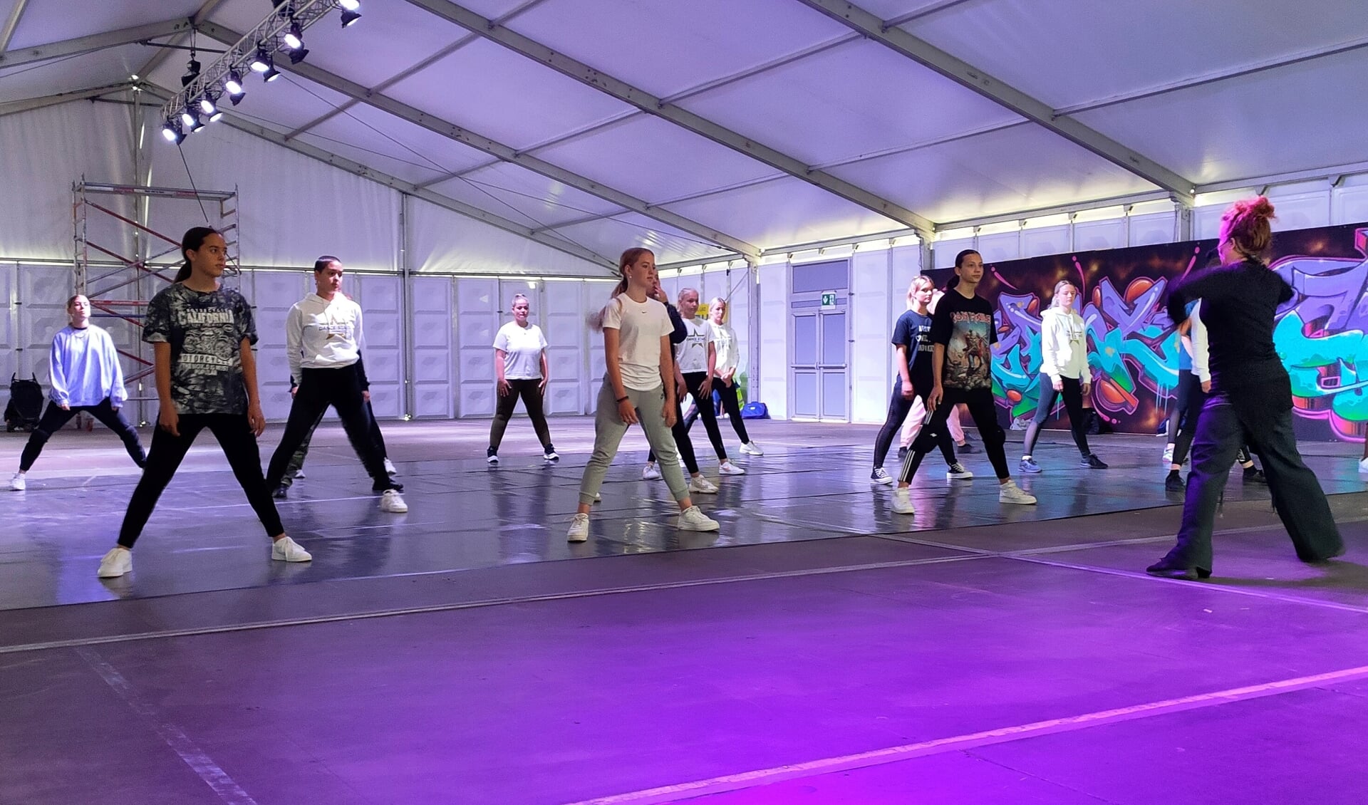 In het Try Out Park werd afgelopen zomer een dansworkshop gegeven door Esther Nederpelt. 
