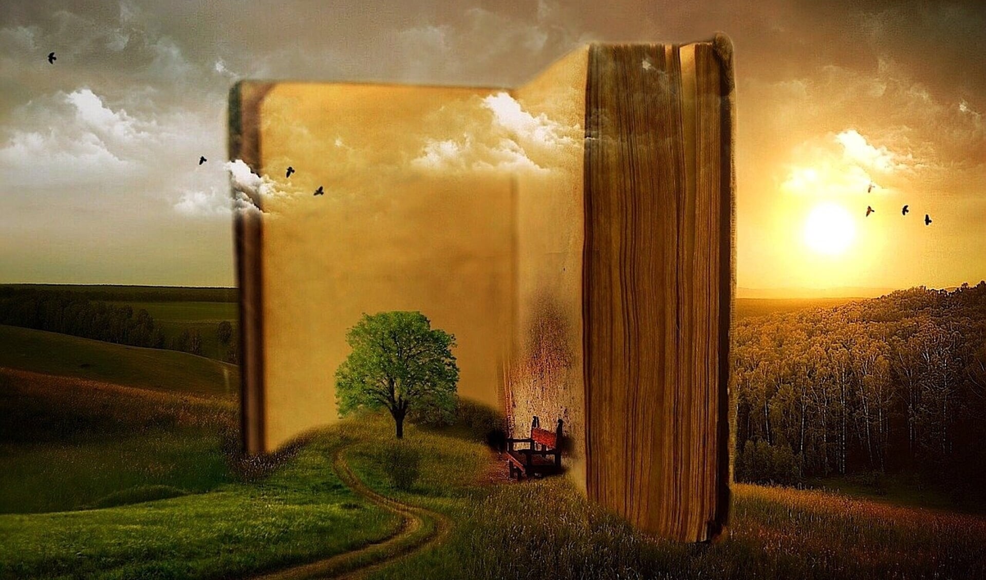Via een boek duik je in een andere wereld.