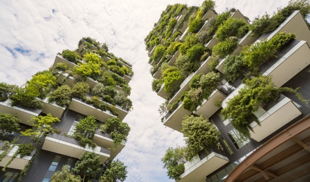 <p>Een groene stad draagt bij aan het herstel van de biodiversiteit. </p>
