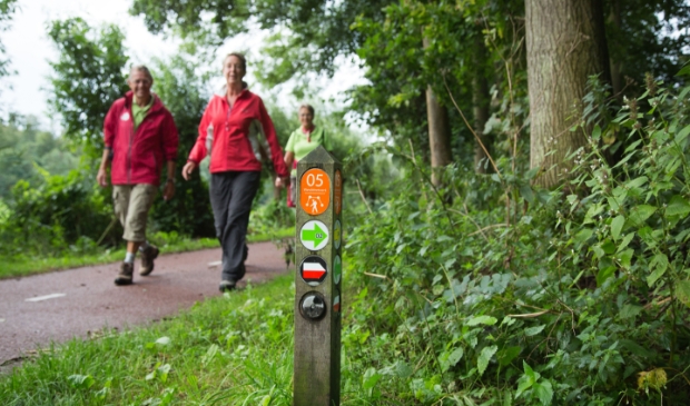 <p>Wandelen is in 2021 populairder dan ooit. </p>