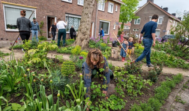 Park het Woud aan de Nibbixwoudstraat in Amsterdam-Noord, aangelegd door bewoners.