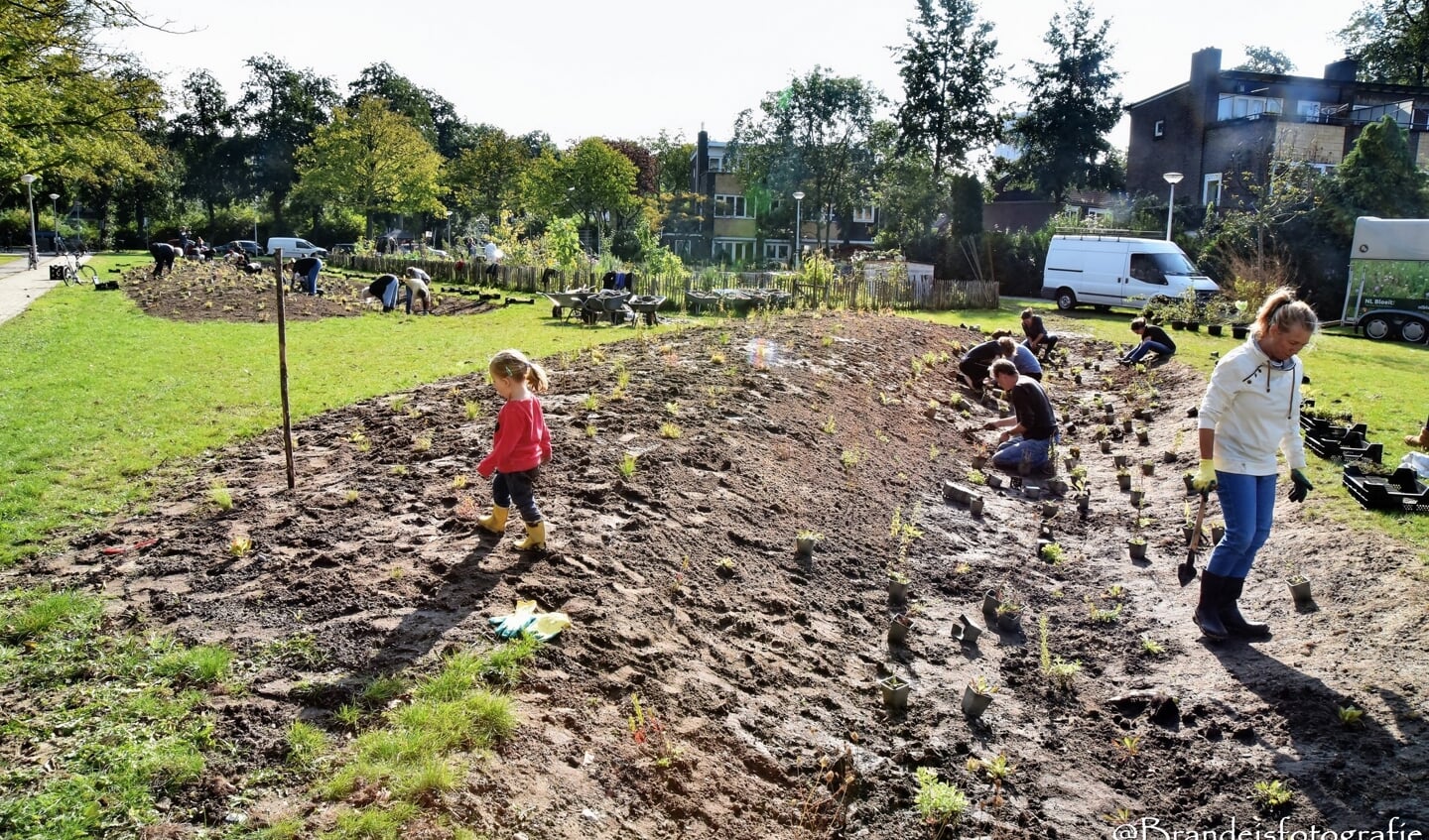 Eerder buurtbudget leverde een mooie bloemrijke klimaattuin op.