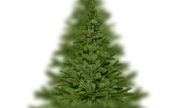 <p>De kerstboom wordt duurzaam verwerkt in Amsterdam.</p> 