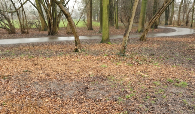 <p>Hoornse parken moeten behouden blijven.</p>