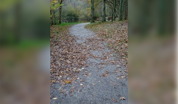 <p>Donkere Duinen.</p>