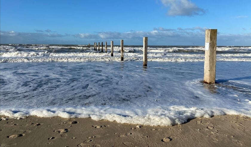 De Noordzee Wordt Schoner Al Het Nieuws Uit Bergen