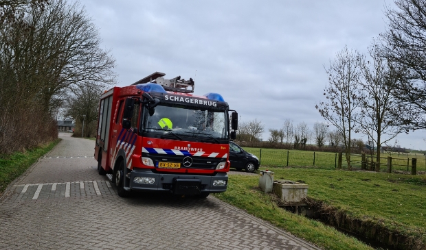 <p>Twee dieren konden niet meer gered worden.</p>