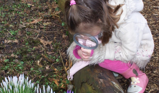 <p>De lente is in aantocht. Ook in het Hertenkamp.</p>