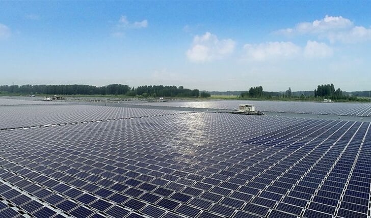 Zonneweides leveren bakken aan duurzame energie op.