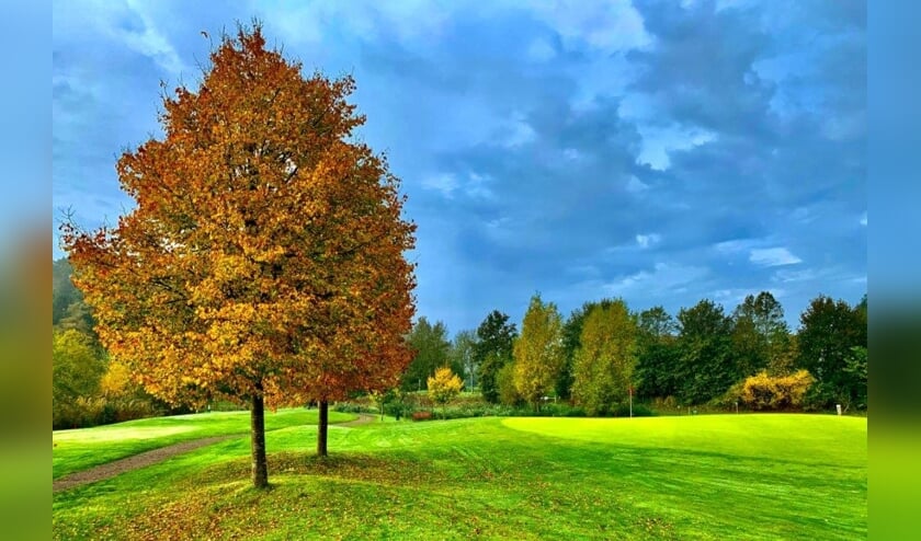 De golfcourse van De Lage Mors is leuk, uitdagend en ligt direct naast Aparthotel Delden.