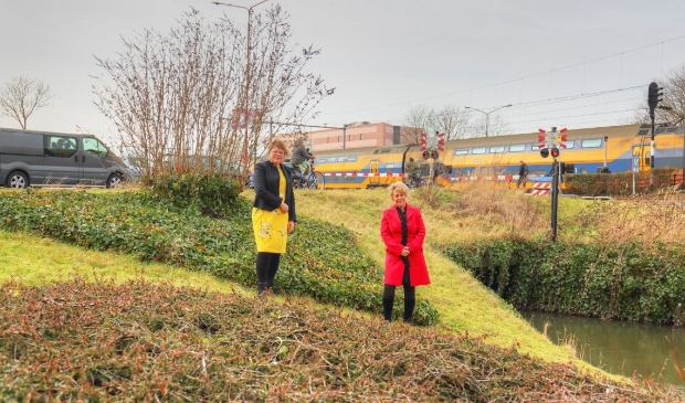 <p>Wethouder Annette Groot en Klazien Hartog, portefeuillehouder stedelijk water, gaan samen op zoek naar oplossingen.</p>