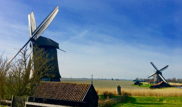 <p>Het is een prachtig gezicht, draaiende molens in de polder de Schermer.</p>