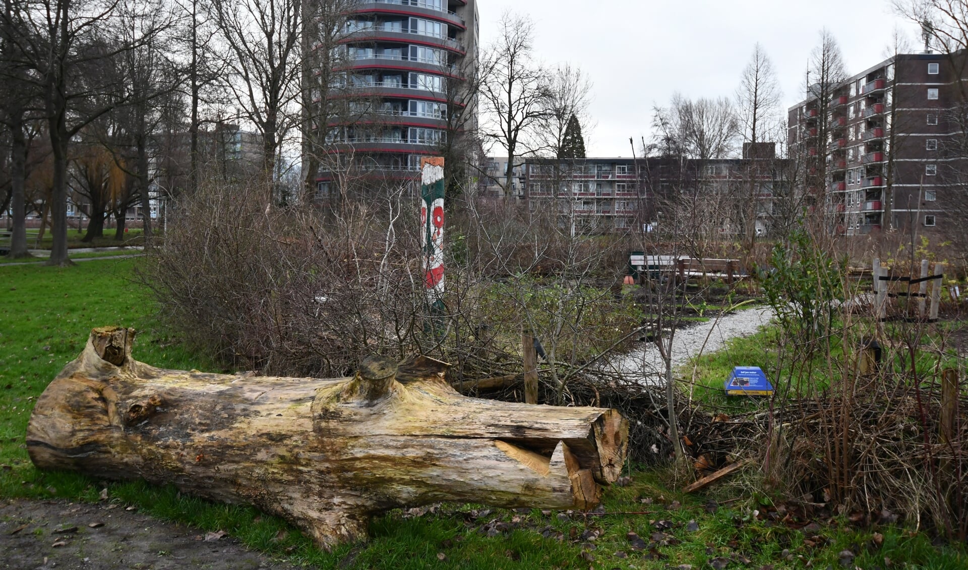 Ook is er dit jaar een nieuw dier in de tuin:  een gigantisch groot zwijn van een boomstam.