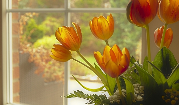 <p>Laat iedereen meegenieten van de lente.</p>